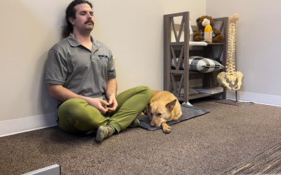 Meditate. Return to the present.